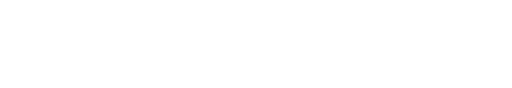 Namusoft logo